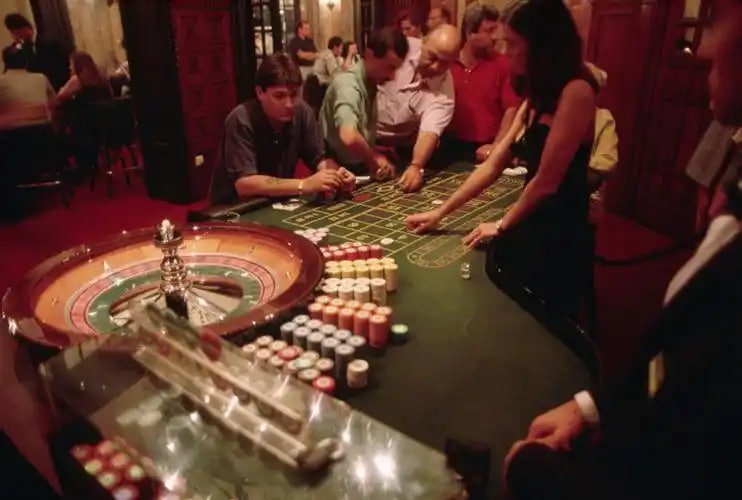 Live betting on a cricket match on the bajiwala betting platform